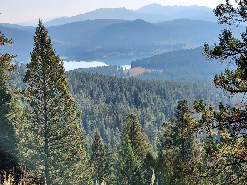 Tracey: Focus on the Family to&nbsp;None